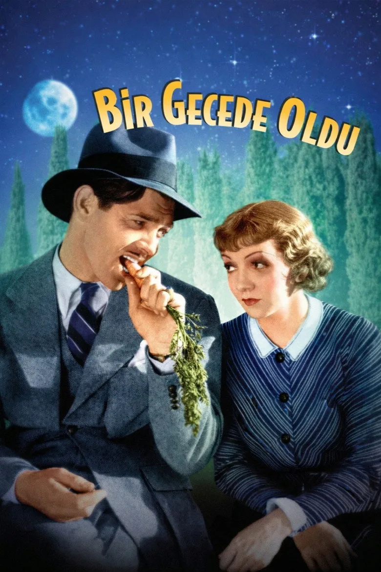Bir Gecede Oldu Film izle