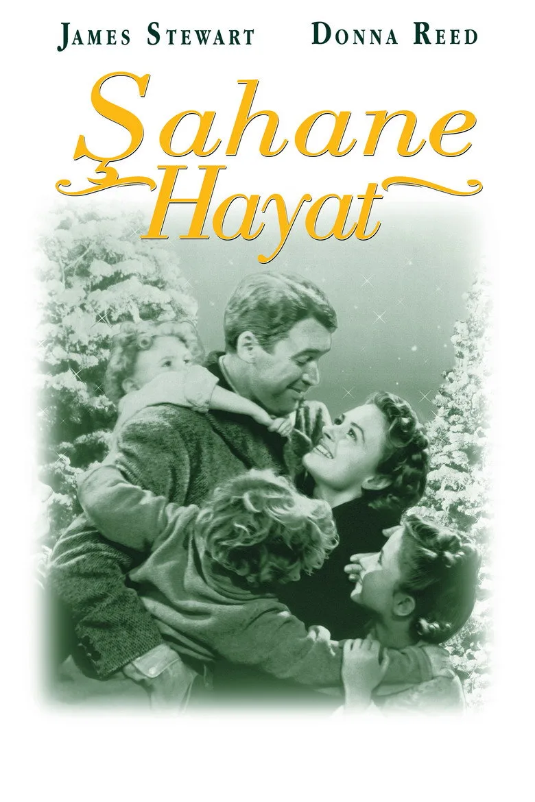 Şahane Hayat Film izle